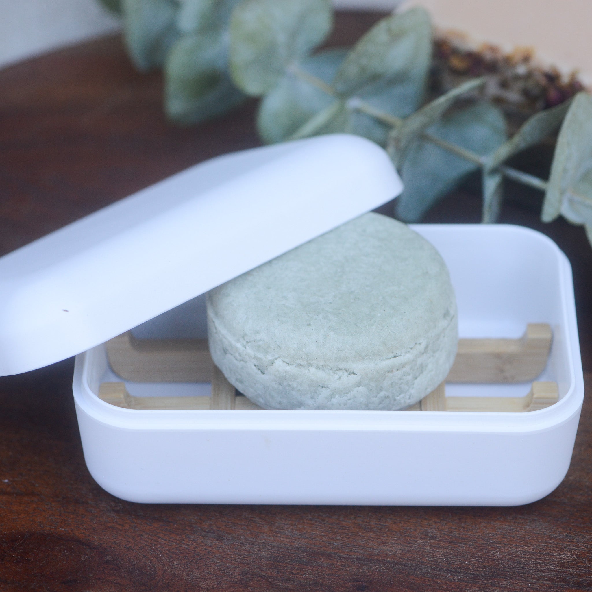 Travel Dish
