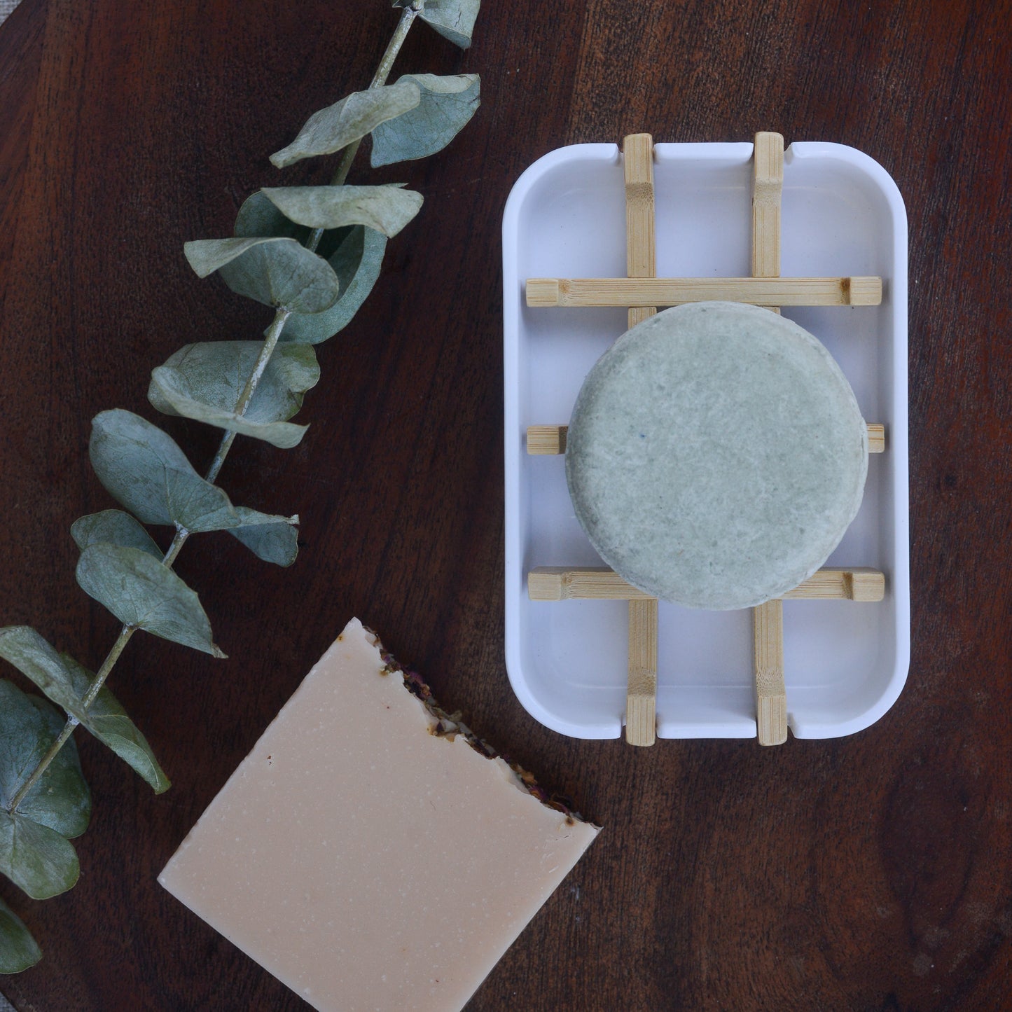 Plant-Based Biodegradable Soap Dish Tray